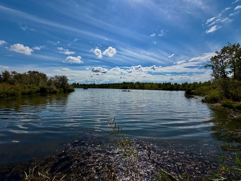 Calm water with shallow rocky foreground, tree-lined banks, and coniferous forest under a blue sky with white clouds