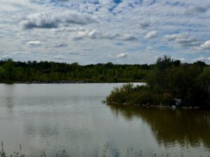 Calm lake with dense green forest along the shoreline and puffy clouds in a blue sky