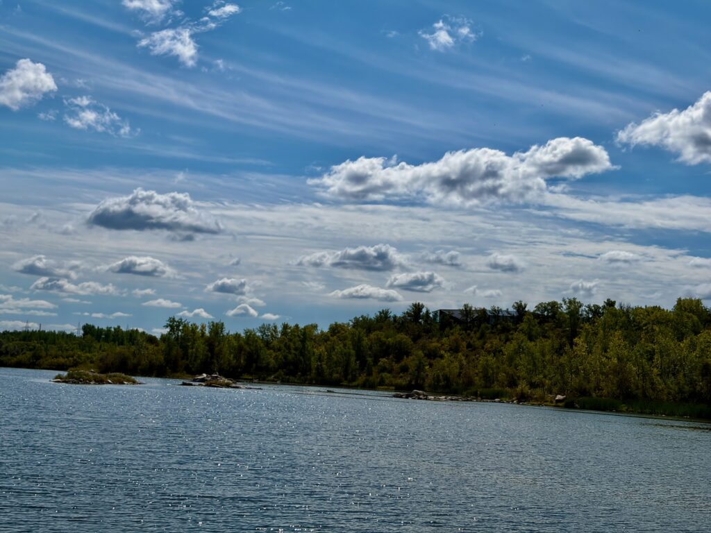 A calm water with a forested shoreline under a blue sky dotted with white clouds