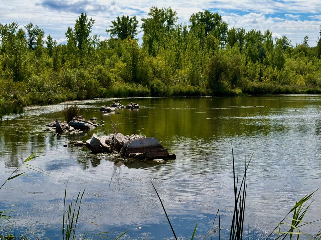 A calm lake with rocks scattered in the water, bordered by dense green trees and vegetation under a partly cloudy sky