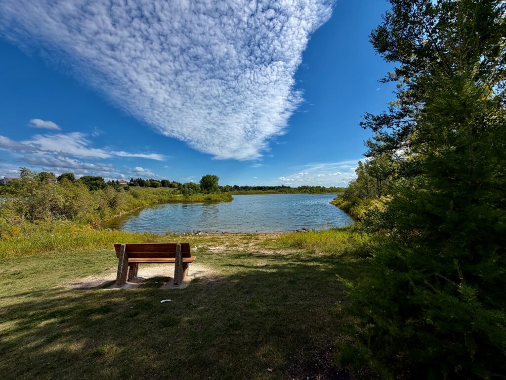 Wooden bench on grassy shore facing a calm blue lake, surrounded by green trees under a clear sky with wispy clouds