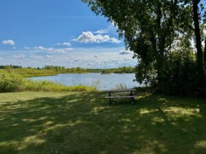 Picnic table on grassy park area overlooking a calm lake with tree-lined shores under a partly cloudy blue sky
