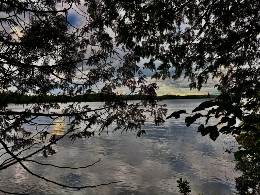 Calm lake framed by evergreen branches, with distant forested shoreline and partly cloudy sky