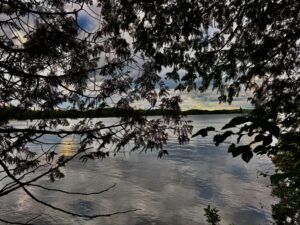 Calm lake framed by evergreen branches, with distant forested shoreline and partly cloudy sky