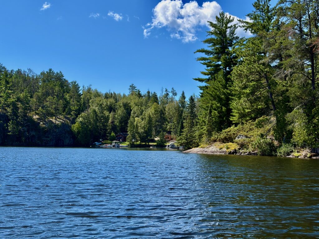 Lake surrounded by coniferous forest with cottages nestled among trees along the shoreline, clear blue sky with white clouds