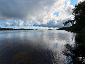 Calm lake with coniferous forest along shoreline and dramatic white clouds in blue sky
