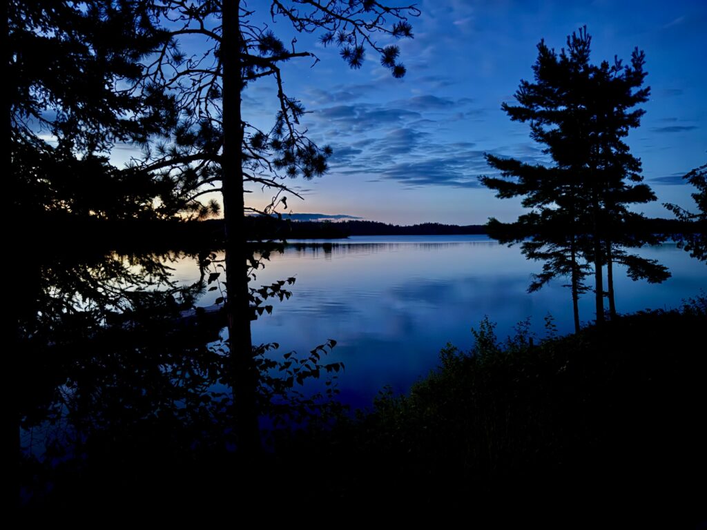 Twilight view of a calm lake framed by evergreen trees and silhouetted pine branches, with distant forested shoreline and mountains under a blue evening sky
