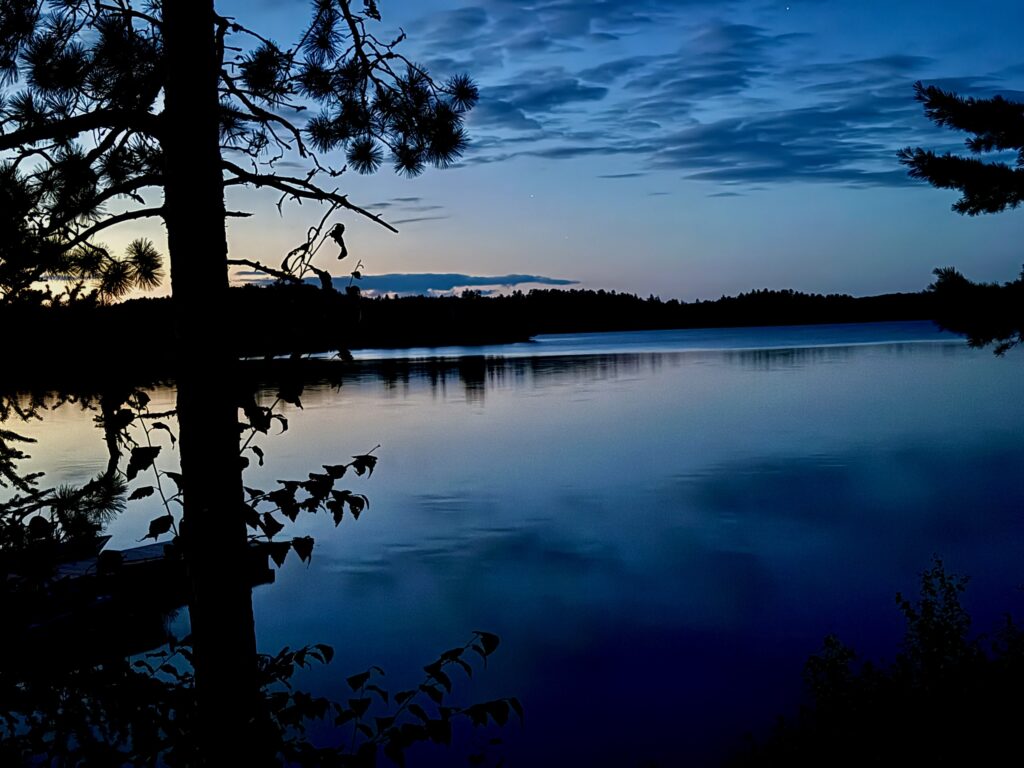 Silhouetted coniferous trees and branches frame a calm lake at twilight, with distant forested shoreline and mountains reflected in still water under a blue dusk sky