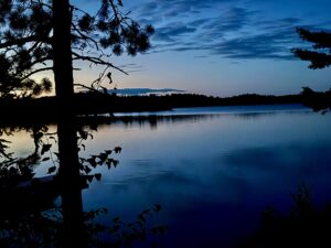 Silhouetted coniferous trees and branches frame a calm lake at twilight, with distant forested shoreline and mountains reflected in still water under a blue dusk sky