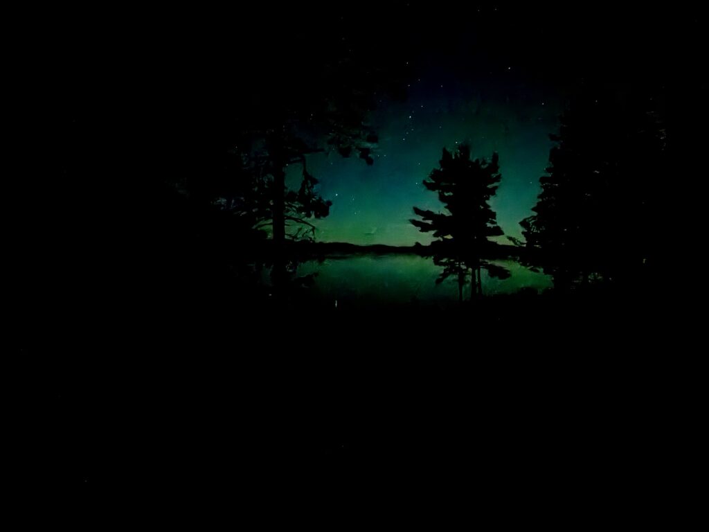 Northern lights glowing green above a forested lake at night, with silhouetted evergreen trees framing the aurora and stars scattered across the dark sky