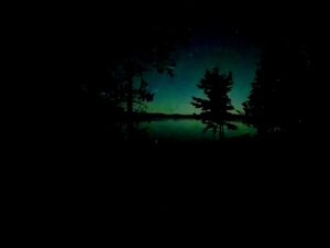 Northern lights glowing green above a forested lake at night, with silhouetted evergreen trees framing the aurora and stars scattered across the dark sky