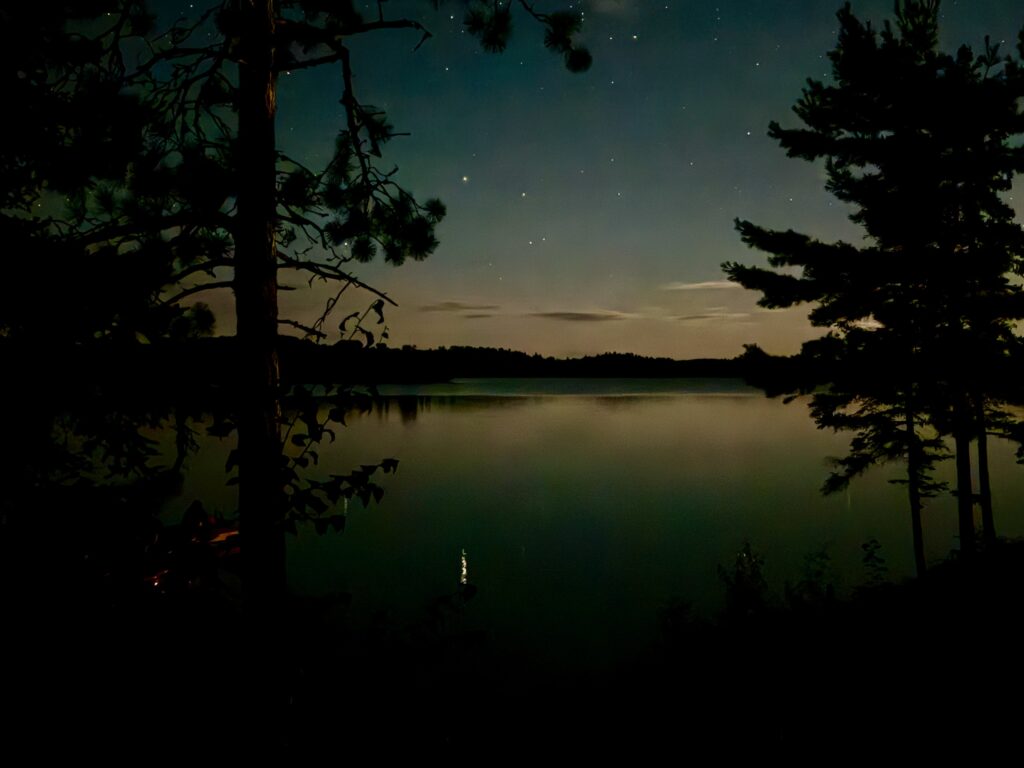 Starry night sky above a calm lake framed by silhouetted coniferous trees and branches, with moonlight reflecting on the water
