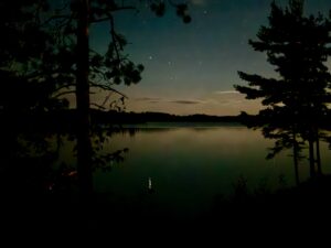 Starry night sky above a calm lake framed by silhouetted coniferous trees and branches, with moonlight reflecting on the water