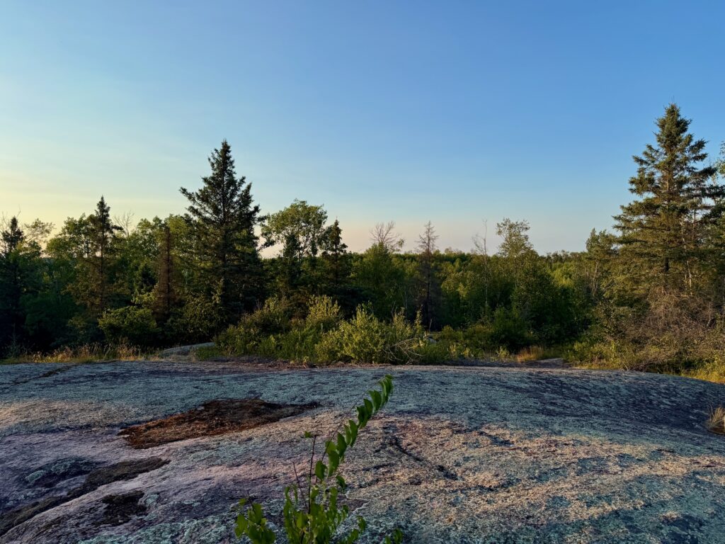 Rocky shoreline with coniferous and deciduous trees under clear blue sky, typical of Canadian boreal forest landscape