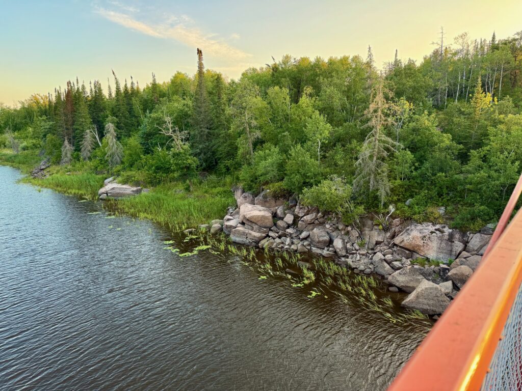Rocky shoreline with boreal forest of spruce, birch, and pine trees along a calm lake, viewed from a boat at sunset