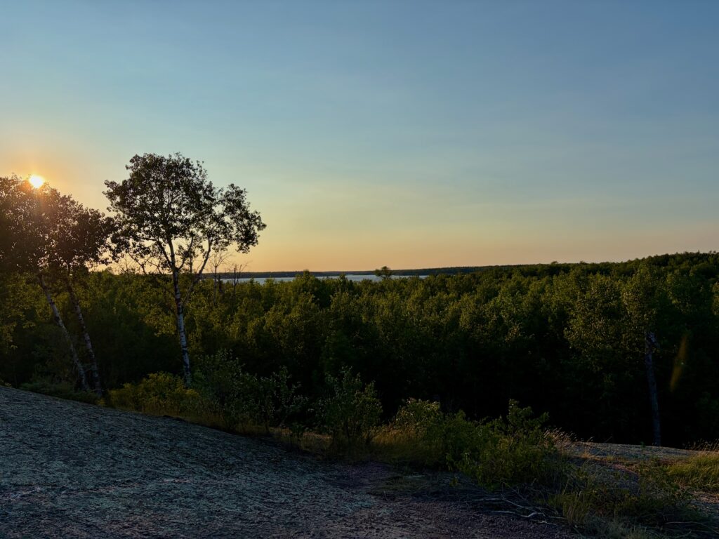 Sunset over a boreal forest landscape with birch trees in the foreground, dense coniferous forest, and a distant lake under a clear sky