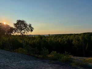 Sunset over a boreal forest landscape with birch trees in the foreground, dense coniferous forest, and a distant lake under a clear sky