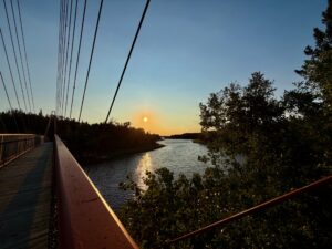 Suspension bridge walkway at sunset overlooking a river with forested shorelines and golden light reflecting on the water