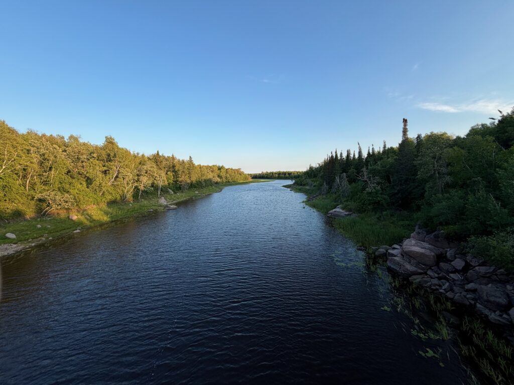 A river winds through a boreal landscape with birch trees on the left bank and coniferous forest on the right, under a clear blue sky