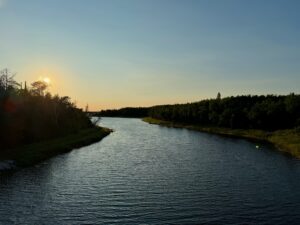 River flowing through a forested landscape at sunset, with coniferous trees lining both banks and the sun low on the horizon casting golden light across the water
