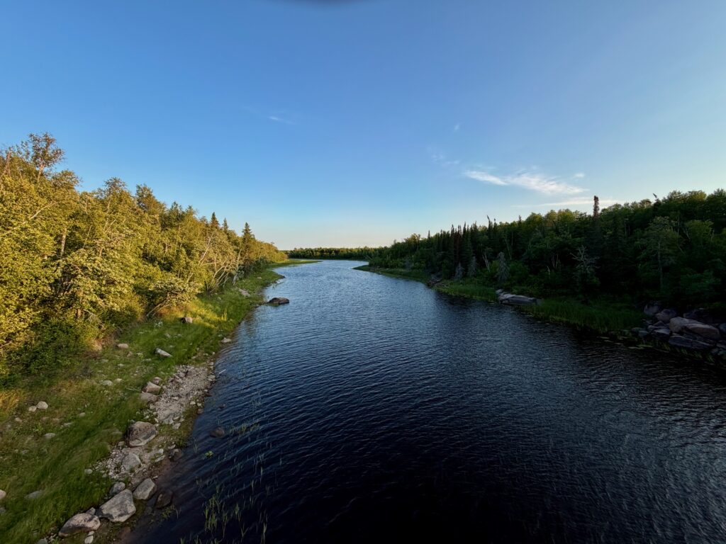 A calm river winds through a boreal landscape, with birch trees in golden light on the left bank and evergreen conifers on the right, under a clear blue sky