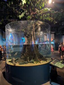 Large cylindrical aquarium display featuring a mature tree with exposed roots growing through sand and shallow water, surrounded by hanging foliage above, with museum visitors observing the exhibit