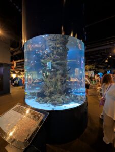 Large cylindrical aquarium display tank featuring coral reef ecosystem with tropical fish, sea life, and rock formations, surrounded by museum visitors in an indoor exhibition space
