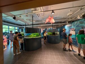 Visitors explore a modern aquarium exhibit with cylindrical tanks containing aquatic plants and fish, a large pink sculptural fish suspended from the ceiling, and educational murals on the walls