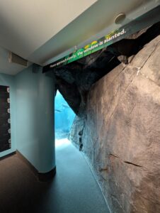 Underwater viewing window in an aquarium tunnel showing a large fish swimming in blue water, with a sign reading "Please approach slowly, the window is slanted