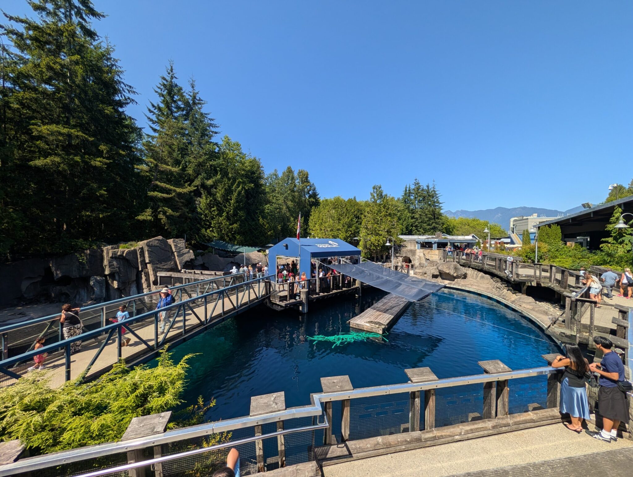 Marine mammal pool at a zoo or aquarium with a blue tent structure, viewing platforms, and visitors watching a performer in the water, surrounded by forested landscape and mountains
