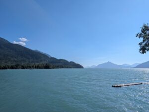 Turquoise lake surrounded by forested mountains under clear blue sky, with a driftwood log in the shallow water