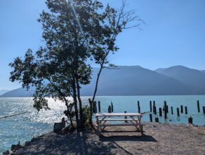 Picnic table on a rocky beach beside a tree, with turquoise water, wooden pilings, and mountains in the background under clear blue sky