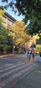 Urban plaza in autumn with brick and stone paving, surrounding brick buildings with storefronts, and trees with golden and green foliage overhead on a clear day