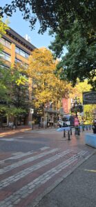 Public plaza with brick pavement lined by historic brick and yellow buildings, trees in autumn foliage with golden leaves, storefronts and signage visible, clear blue sky above