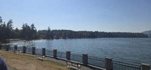 Waterfront park with benches along a railing overlooking a calm lake, forested shoreline across the water, and mountains in the distance under clear blue sky