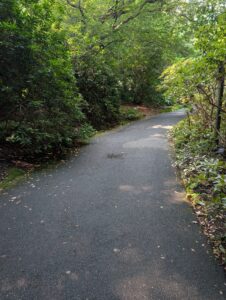 Paved pathway winding through dense green foliage and trees, dappled with sunlight filtering through the canopy