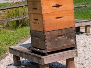 Stacked wooden beehives with entrance holes, showing orange and dark brown boxes mounted on a wooden stand in a rural garden setting