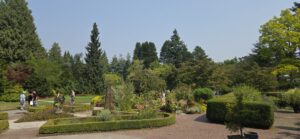 Botanical garden with manicured hedges, flower beds, and visitors strolling along brick pathways beneath towering conifers and deciduous trees under clear blue sky