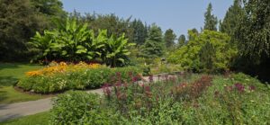 Vibrant garden bed with yellow and magenta flowers, tall banana plants, and lush green hedges along a winding path, backed by mature trees under clear sky