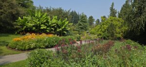 Lush botanical garden with curved pathways bordered by flowering perennials in magenta and red tones, yellow and white blooms, large-leafed tropical plants, manicured hedges, and coniferous and deciduous trees under clear sky