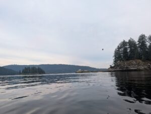 Calm lake with forested shorelines and rocky outcrops under overcast sky, a bird flying overhead