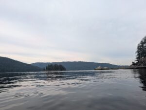Calm water of a lake surrounded by forested mountains under overcast sky, with rocky outcrops along the shoreline
