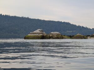Rocky outcroppings covered in moss sit in calm water with a dense coniferous forest and mountains in the background