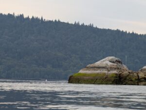 Moss-covered boulder in calm water with dense coniferous forest and distant communication tower along the shoreline