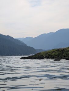 Coastal inlet with forested mountains, rocky outcrops covered in seaweed, and calm water reflecting the landscape under overcast sky