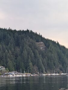 Waterfront marina with sailboats moored along a forested shoreline, rocky cliff visible among tall coniferous trees, overcast sky above