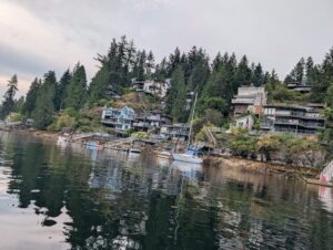 Waterfront homes built on a forested hillside overlooking a calm bay with moored boats and coniferous trees