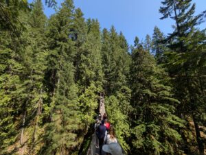 Visitors walking across a suspended wooden bridge through a towering coniferous forest under clear blue sky