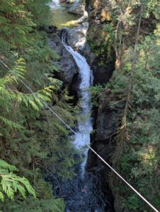 A cascading waterfall flows through a deep rocky gorge surrounded by dense evergreen forest, with a cable bridge spanning across the chasm in the foreground
